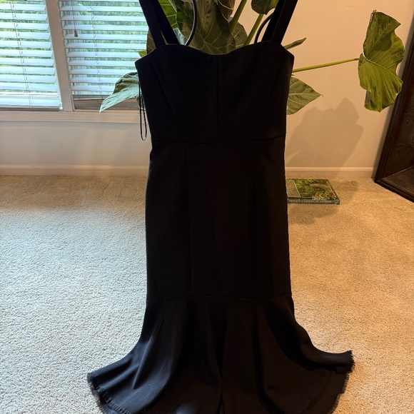 Elegant NWT Zara Dress - Picture 1 of 6